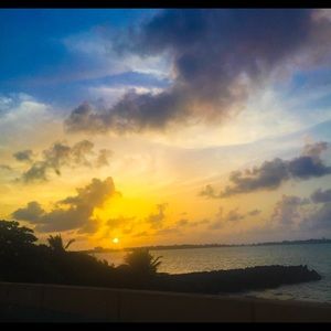 Meet your Posher, Alice